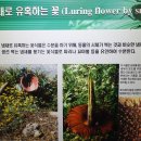 전라북도 산림박물관 이미지