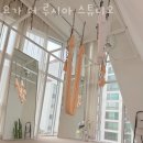 강남구 청담동 요가 요가 더 루시아 스튜디오 가격 오시는길 후기