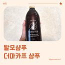 에이치(H)뷰티랩 | 탈모샴푸추천 마이에이치랩 더마카프 샴푸 실사용 후기