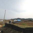 여주-1031 이미지