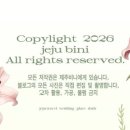 피올래쉬