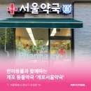 개포서울약국 이미지