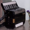 Custom made SEM 502-D Gold Accordion 이미지