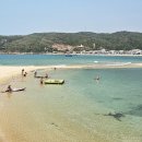 (주)대화렌트카 | 베트남 휴양지 꾸이년 여행 렌트카로 시작한 혼코섬 코스