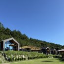 도그퀸 | 무안 애견동반 펜션 🐾 굿나잇도그 방문 후기 (견종, 무게 제한 없는 곳)