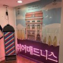 A49 | [쉬어매드니스] 인기 혜화 연극 추천, 좌석 시야 후기 👀