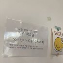 돌핀웨일