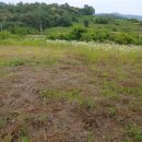 춘양농장 이미지