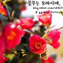 사랑채 밥상 이미지