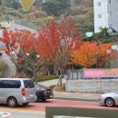 해피샌드데이 이미지
