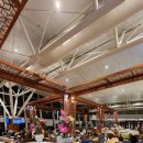 787 | [베트남항공 비즈니스석] VN787 하노이 시드니 내돈내산 후기(하노이 공항 라운지를 곁들인)