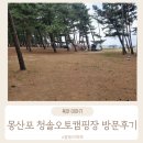 몽산포오토캠핑장 | 당진시 바다가 있는 몽산포 청솔오토캠핑장 방문후기