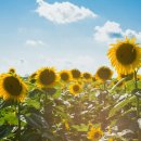 금맥한의원 이미지