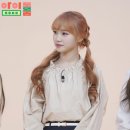 채원 이미지