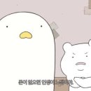 사안사 이미지