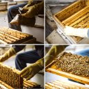 산들애농원 이미지