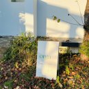 올가리조트 이미지