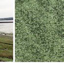 이안스주식회사 이미지