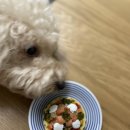 퍼피야미 이미지