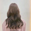 위드롬