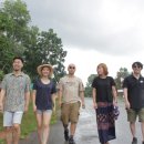 바오밥나무기타 이미지