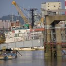 <모임안내>群山에서 회가 動 합니다. 이미지