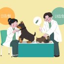 사하동물병원 이미지