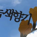 녹색향기플라워