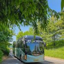 봉암동 버스정류소앞 | 울산 김해공항 리무진 버스 최신 시간표 정류장 주소(+언양 후기)