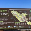 꽃들의상상놀이터 이미지