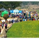 청산도의미래 이미지