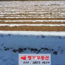 신궁전가든 이미지