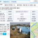 다모아부화장 네이버블로그