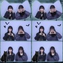 뽑아쥬 이미지
