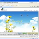 새올 아침신문