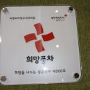 씨엔씨미앤유외과의원 이미지