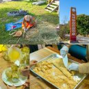 녹색농심인삼마을 이미지