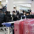 제주동동 이미지