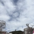 중원교육도서관 | 2025 진해 군항제 200% 즐기기. 군항제 당일치기 따끈따끈 후기
