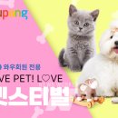펫스티벌 이미지