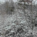 두메산골 이미지