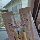 고흥민박 스테이당촌 | 여행숙소추천 :) 강원 홍천 온유, 경남 하동 설렁설렁스테이, 청결 갑