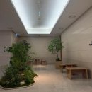 H-043 | 현대백화점 충청점에서 CAFE H 음료무료 사용하기 카페 위치 후기!