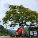 장선보건진료소 이미지