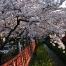 진해여자고등학교 이미지