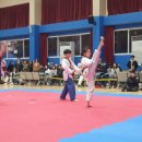 눈부시게 빛나는 태권도장 이미지