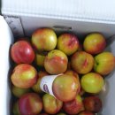 새콤달콩 이미지