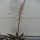 옥상카페 이미지