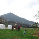 미르목장 이미지