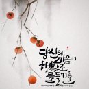 초승달캘리 이미지